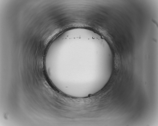 X0000102490015200808291700