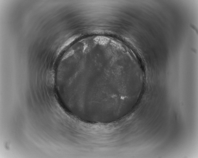 X0000102490016200808291700