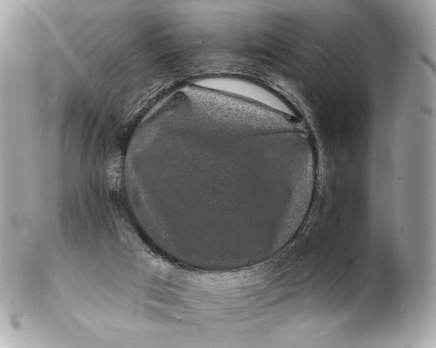 X0000102490017200808291700