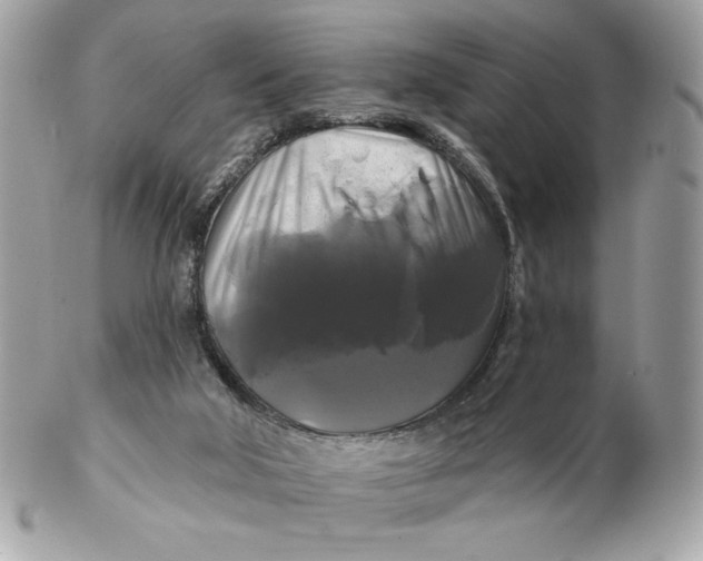 X0000102490018200808291700