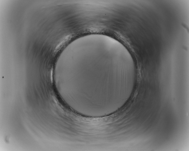 X0000102490019200808291700