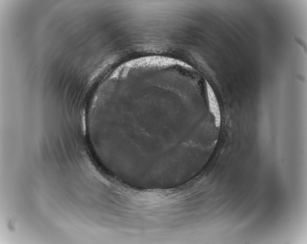 X0000102490020200808291700