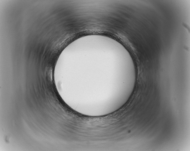 X0000102490021200808291700