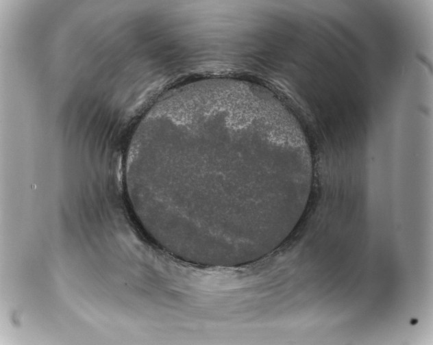 X0000102490024200808291700