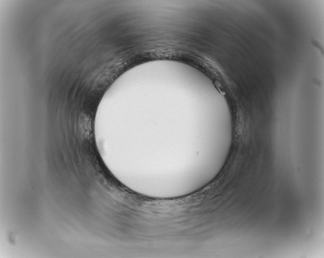 X0000102490025200808291700