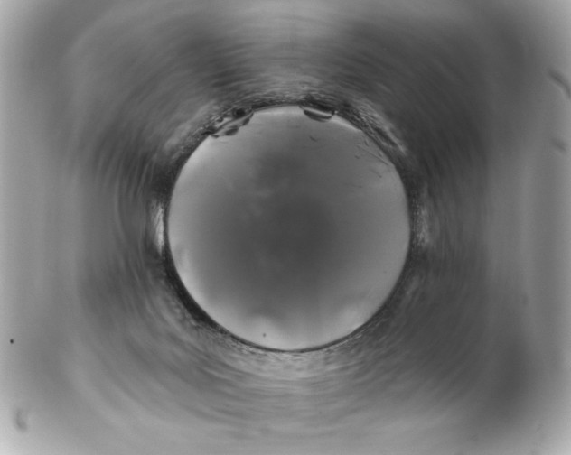 X0000102490027200808291700