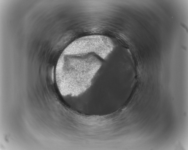 X0000102490028200808291659