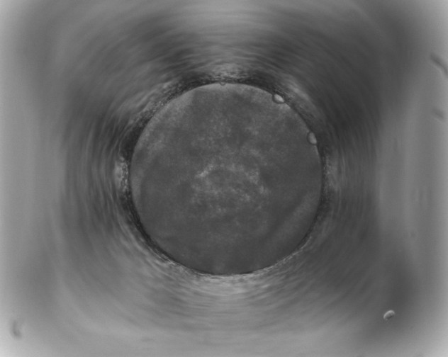 X0000102490029200808291659