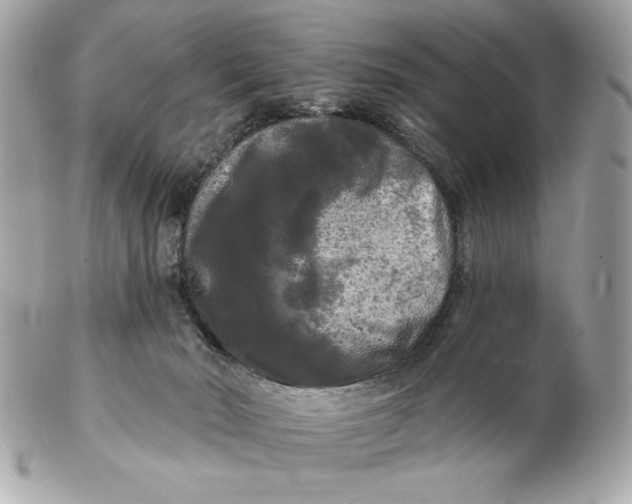 X0000102490030200808291659