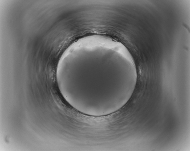 X0000102490031200808291659