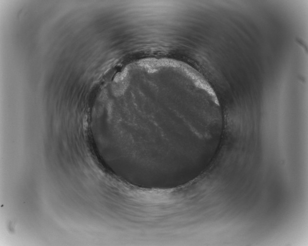 X0000102490032200808291659