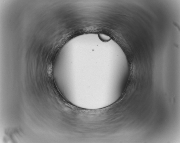 X0000102490033200808291659