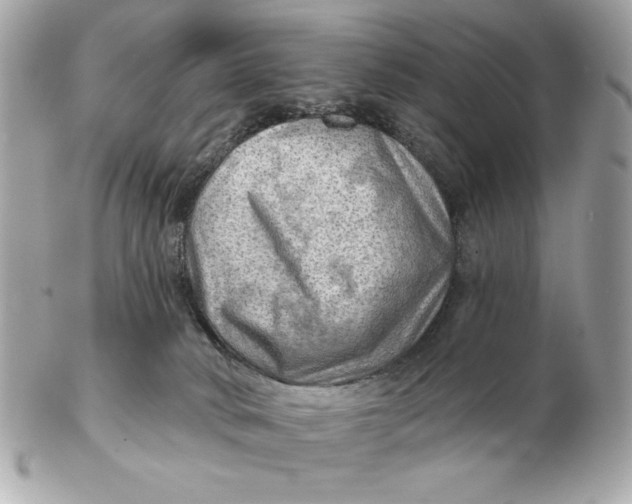 X0000102490034200808291659