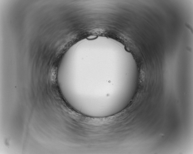 X0000102490037200808291659