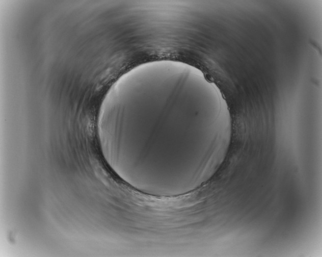 X0000102490039200808291659