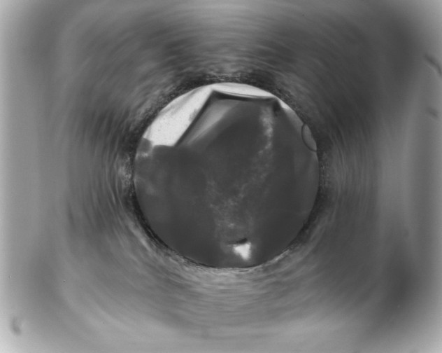 X0000102490040200808291659