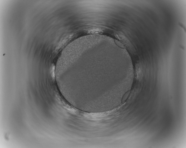 X0000102490041200808291659