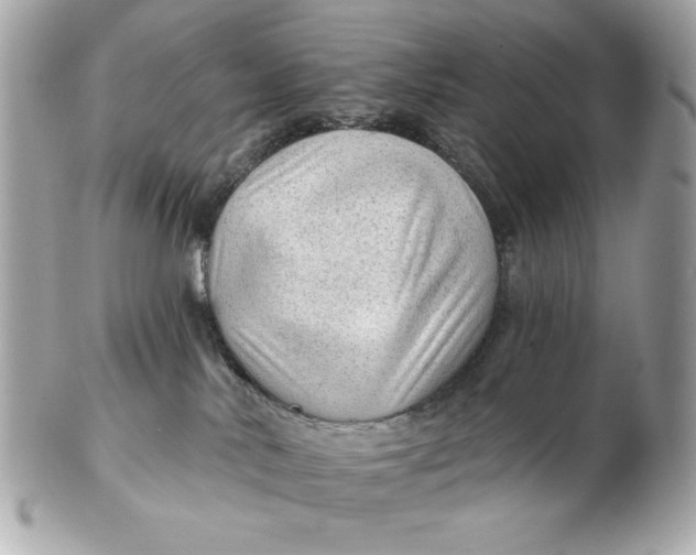 X0000102490042200808291659