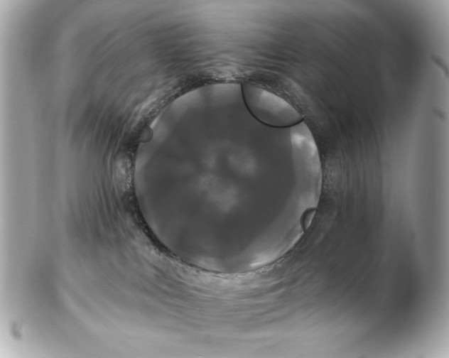 X0000102490043200808291659