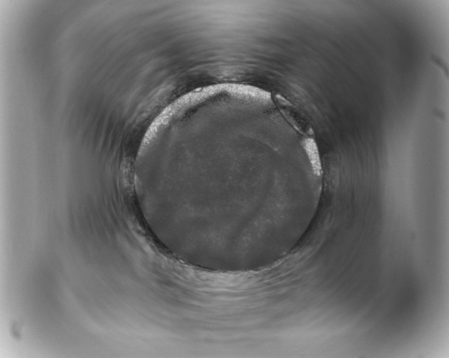 X0000102490044200808291659