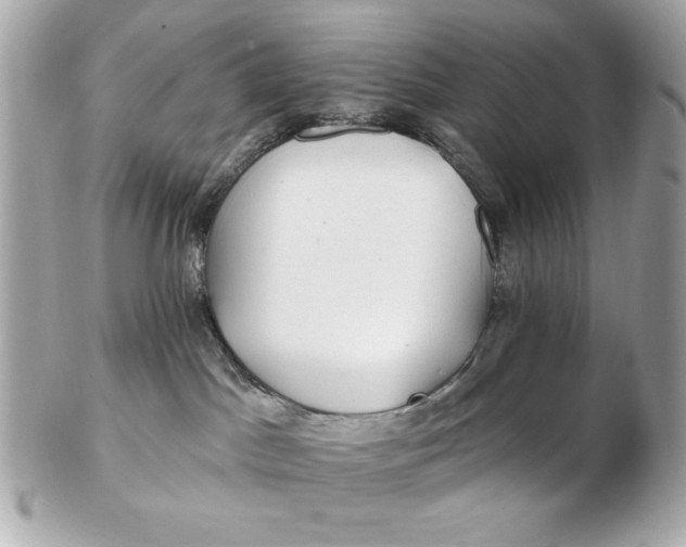 X0000102490045200808291659