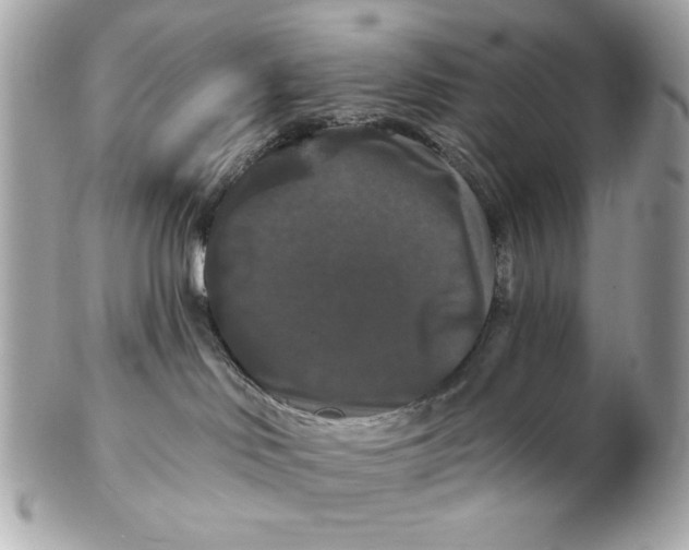 X0000102490046200808291659