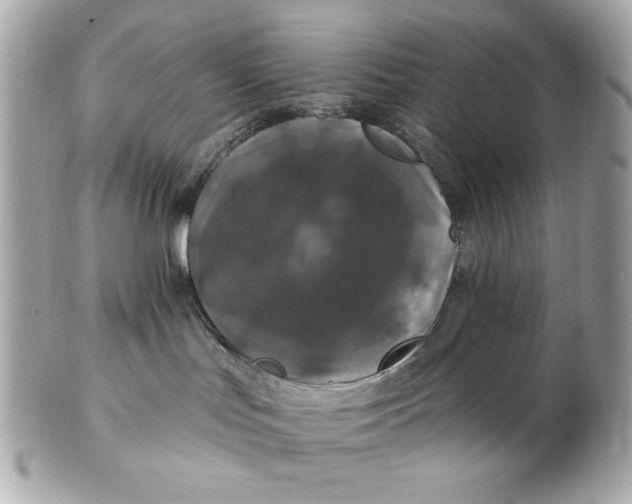 X0000102490047200808291659