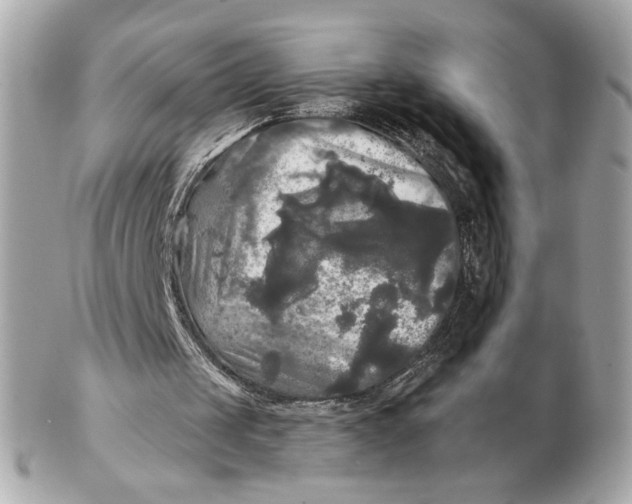 X0000102490049200808291658