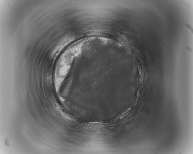 X0000102490050200808291658