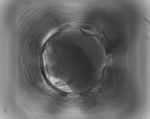 X0000102490051200808291658