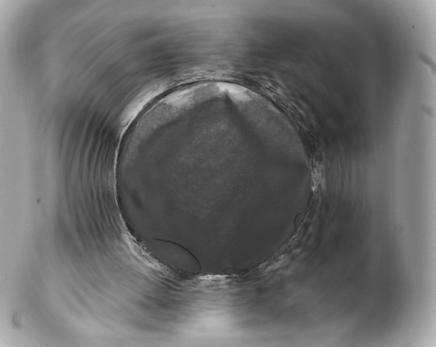 X0000102490052200808291658