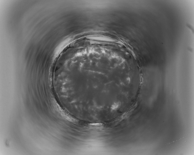 X0000102490053200808291658