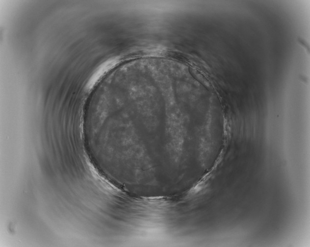 X0000102490054200808291658