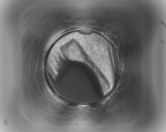 X0000102490055200808291658