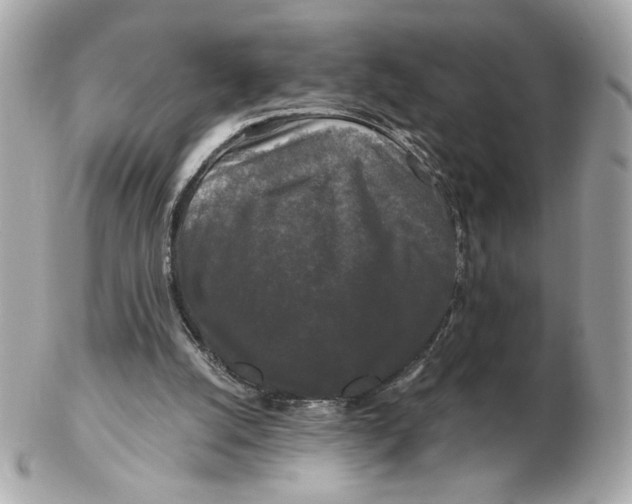 X0000102490056200808291658