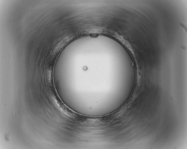 X0000102490057200808291658