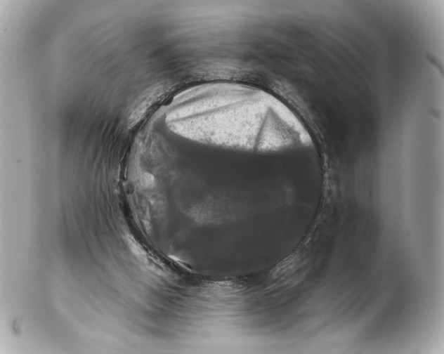 X0000102490058200808291659