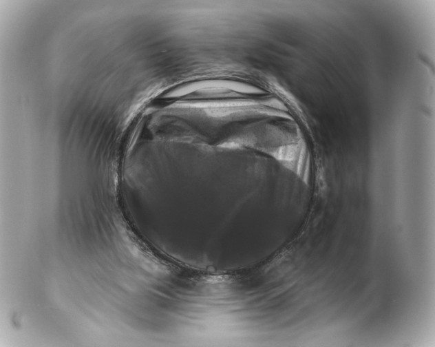 X0000102490059200808291659