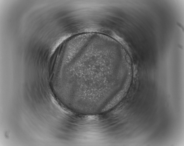 X0000102490060200808291659