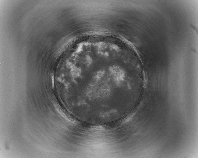 X0000102490061200808291659