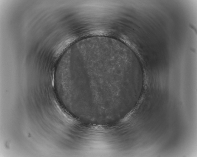 X0000102490062200808291659