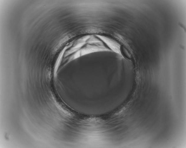 X0000102490063200808291659