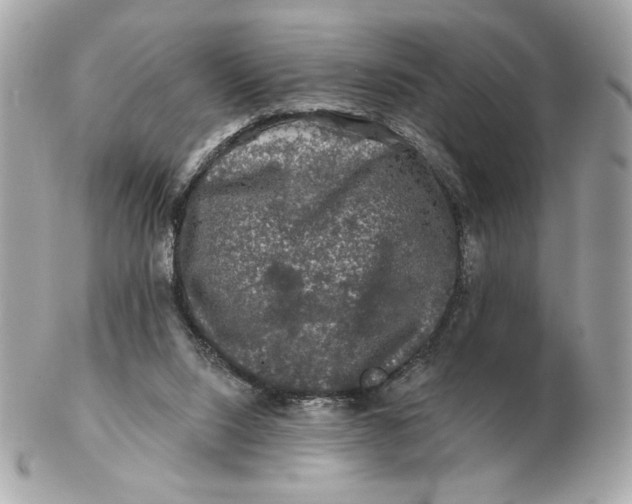 X0000102490064200808291659