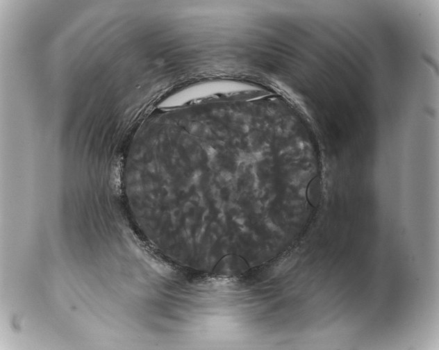 X0000102490065200808291659