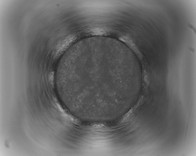 X0000102490066200808291659