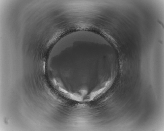 X0000102490067200808291659