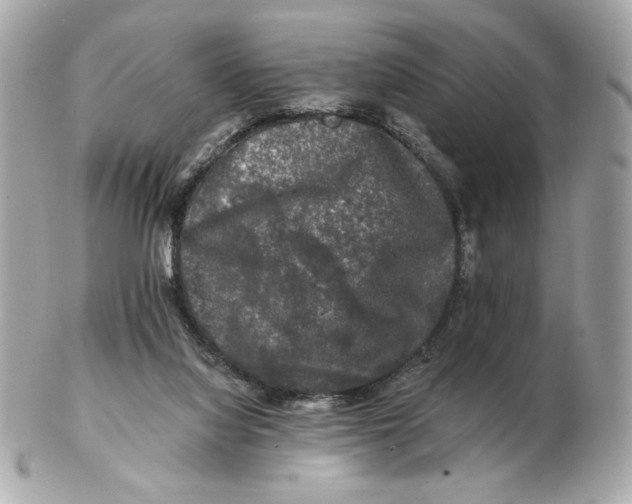 X0000102490068200808291659