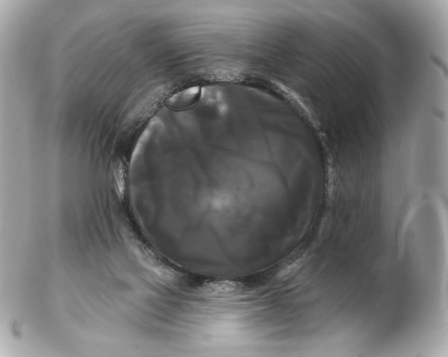 X0000102490069200808291659