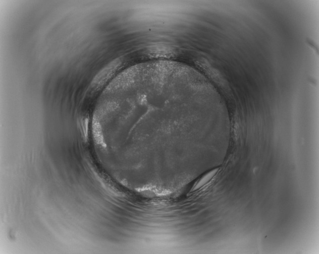 X0000102490070200808291659