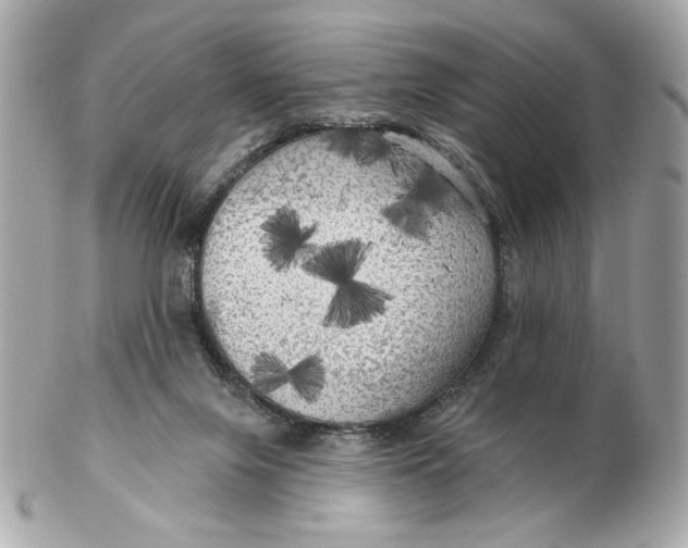 X0000102490071200808291659